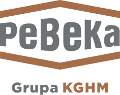 Przedsiębiorstwo Budowy Kopalń PeBeKa S.A. Przedsiębiorstwo Budowy Kopalń PeBeKa S.A.